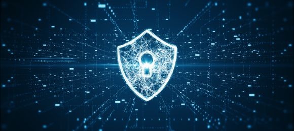 b2ap3_large_Website-Security Why Website Security Isn’t Just a Tech Problem — It’s a Business Risk - Blog
